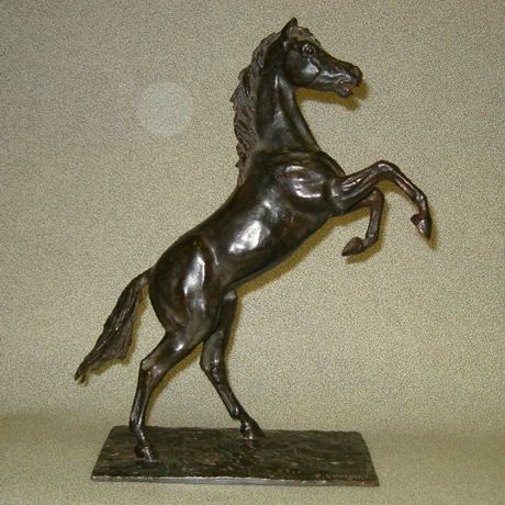 cheval arabe cabré